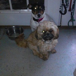 Meet your Posher, Craig